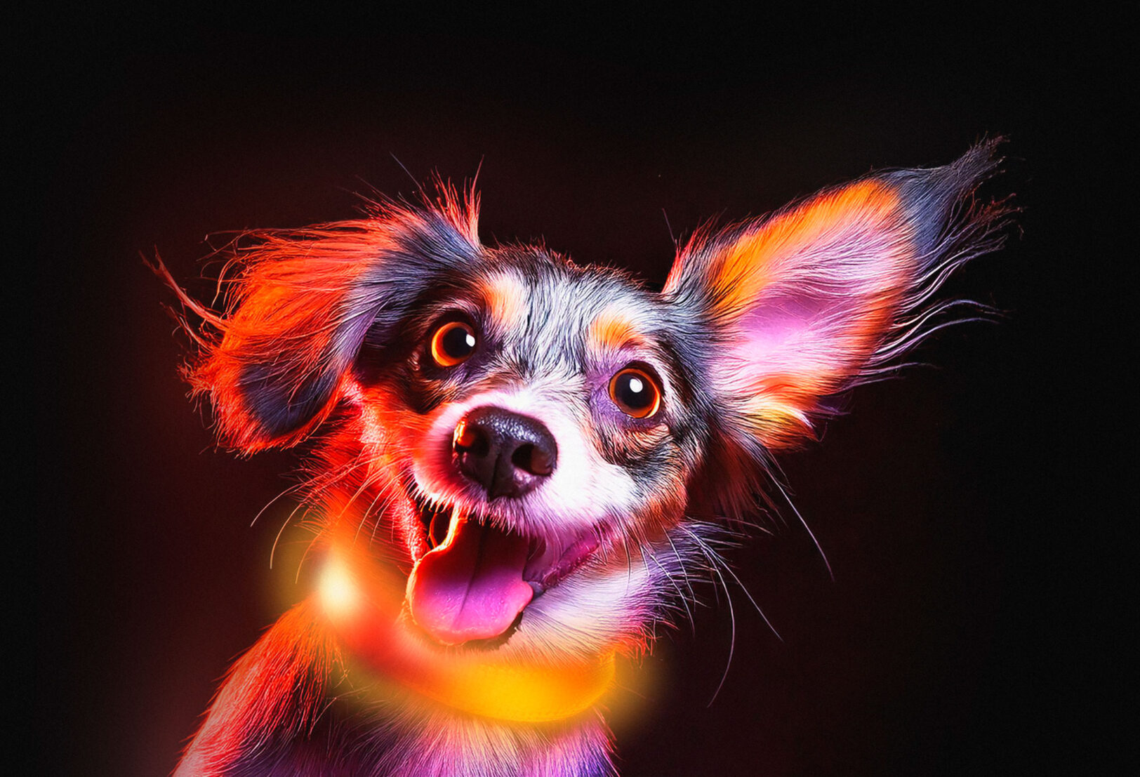 Gib uns ein Zeichen – mach dich sichtbar!